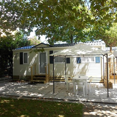 Camping Delfino Αλμπένγκα Εξωτερικό φωτογραφία